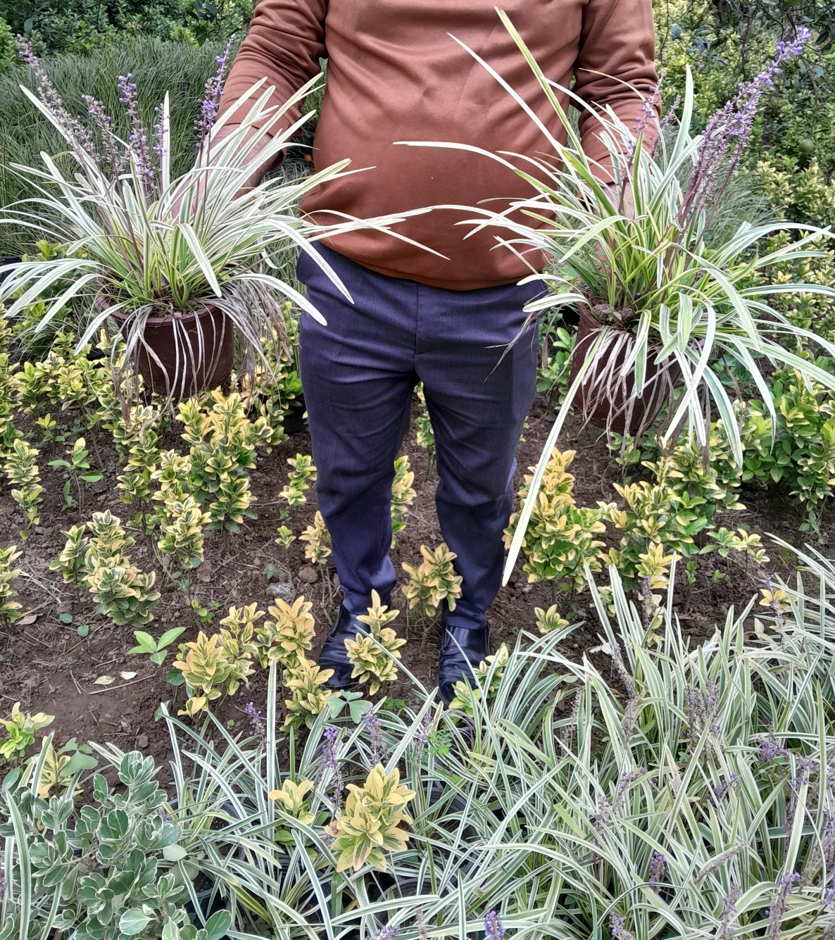 20251009_125454 لیروپ ابلق